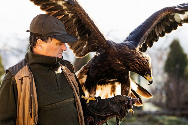 Чоловік тримає великого птаха на руці.