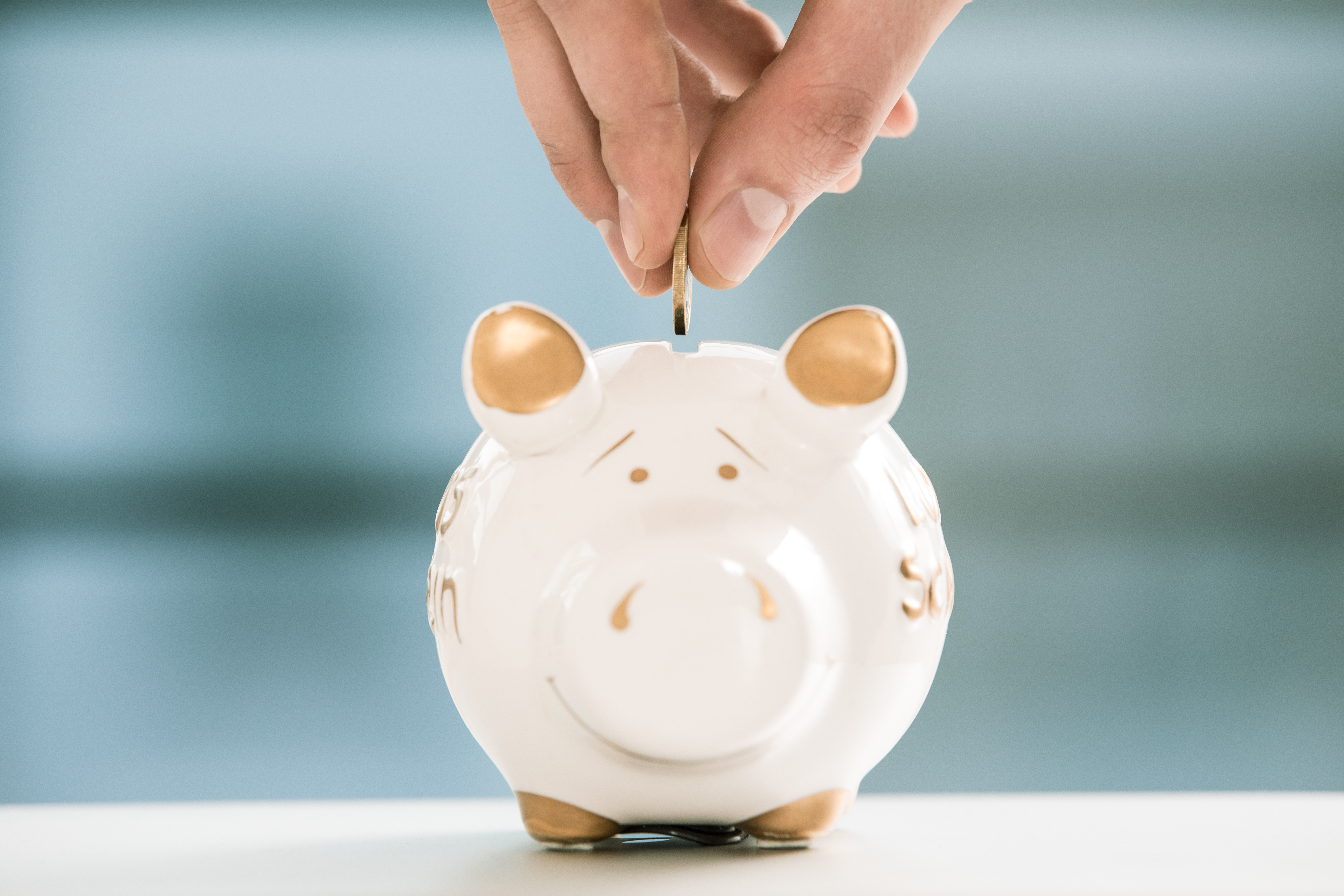 OVB Holding Sparschwein in das zum Vermögensaufbau eine Münze gesteckt wird